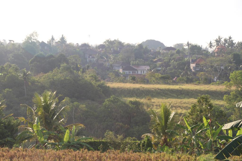 Nur Guest House By Purely Ubud  Ngoại thất bức ảnh