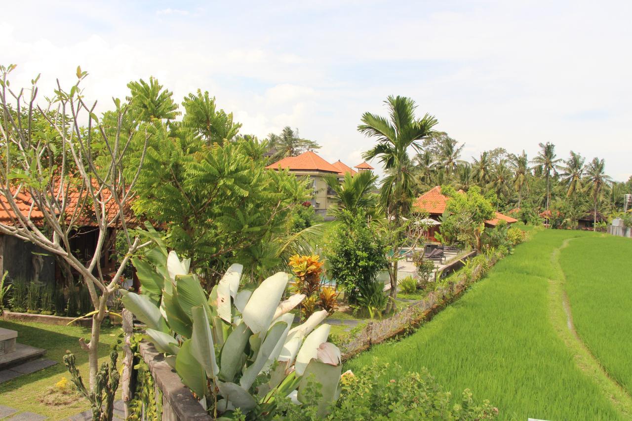Nur Guest House By Purely Ubud  Ngoại thất bức ảnh