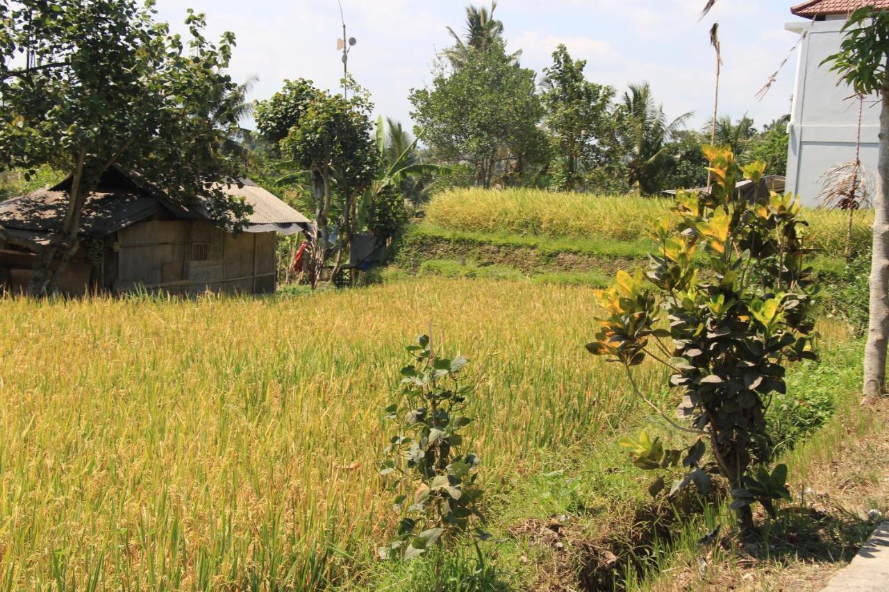 Nur Guest House By Purely Ubud  Ngoại thất bức ảnh